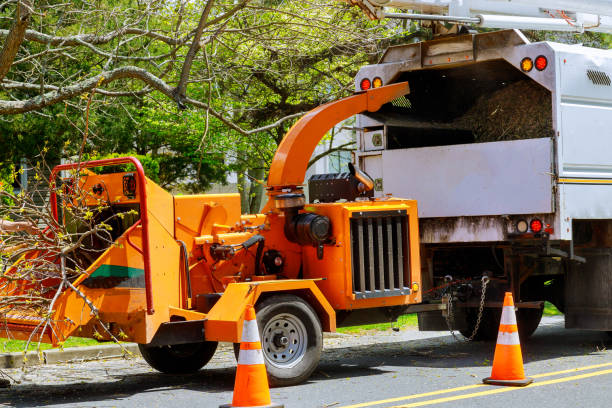 Best Firewood Processing and Delivery  in Venice Gardens, FL